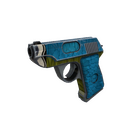 Macaw Masked Pistol (Field-Tested)