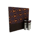 Skull Study War Paint (Factory New)