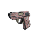 Dovetailed Pistol (Well-Worn)