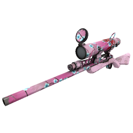 Specialized Killstreak Hana Sniper Rifle (Well-Worn)