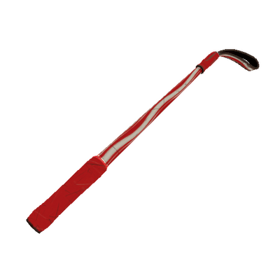 Strange Peppermint Swirl Disciplinary Action (Field-Tested)
