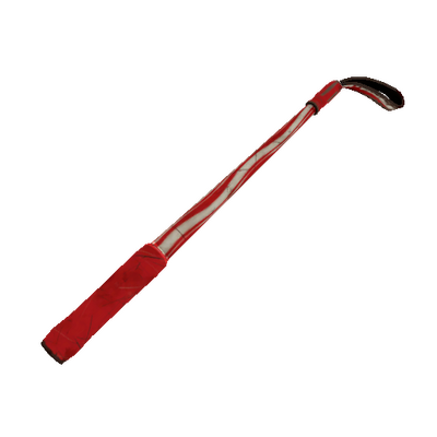 Strange Peppermint Swirl Disciplinary Action (Well-Worn)