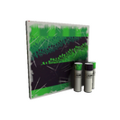 Strange Helldriver War Paint (Field-Tested)