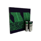 Unusual Raving Dead War Paint (Factory New)