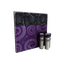 Portal Plastered War Paint (Minimal Wear)