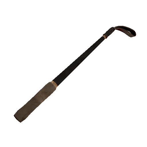 Swashbuckled Disciplinary Action (Well-Worn)