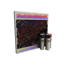 Strange Starlight Serenity War Paint (Field-Tested)