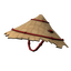 Hong Kong Cone