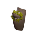 Strange Tropical Toad