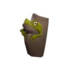content image