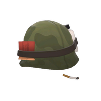 Unusual Shellmet