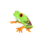 content image