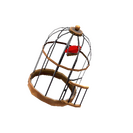 Unusual Birdcage