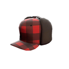 content image