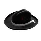 Unusual Buckaroo's Hat
