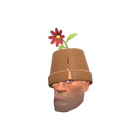 content image
