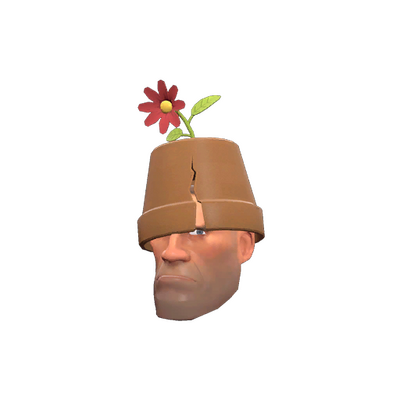 Unusual Crack Pot