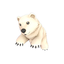 Strange Polar Pal