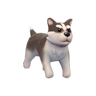 content image