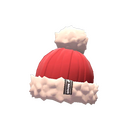 Unusual Professional's Pom-Pom