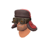 Unusual Arctic Mole