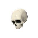 Haunted Bonedolier