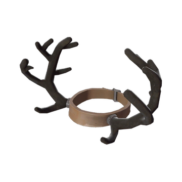 unusual antlers