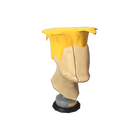 content image
