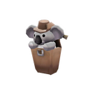 Strange Koala Compact