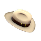 content image