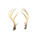 Unusual Exquisite Rack