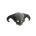 Spine-Chilling Skull
