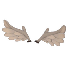 Strange Haunted Wings of Purity
