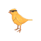 Strange Ein
