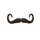 Strange Mustachioed Mann