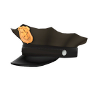 content image