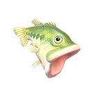 content image