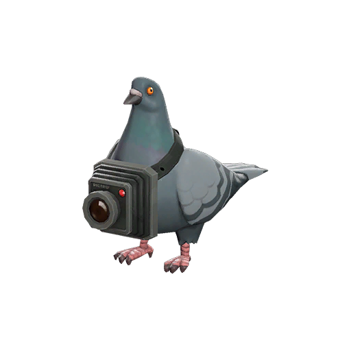 Strange Bird's Eye Viewer