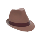 Unusual Fancy Fedora