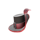 content image
