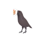 content image
