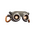 Head Mounted Double Observatory