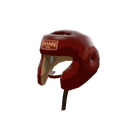 Unusual Pugilist's Protector
