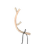 Unusual Prancer's Pride