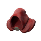 content image