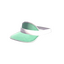 Reissued Dealer's Visor