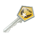 Winter Offensive Case Key