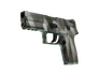 Скин P250 | Костяная маска