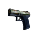 P2000 | Кортисейра