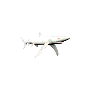 Blue_ Shark _Skins